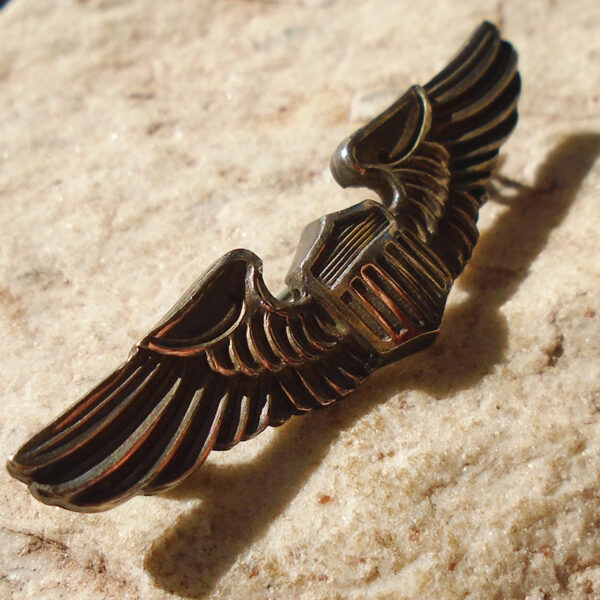K780 - Brevê de Piloto Americano 2” - “Sterling” - Imagem 2