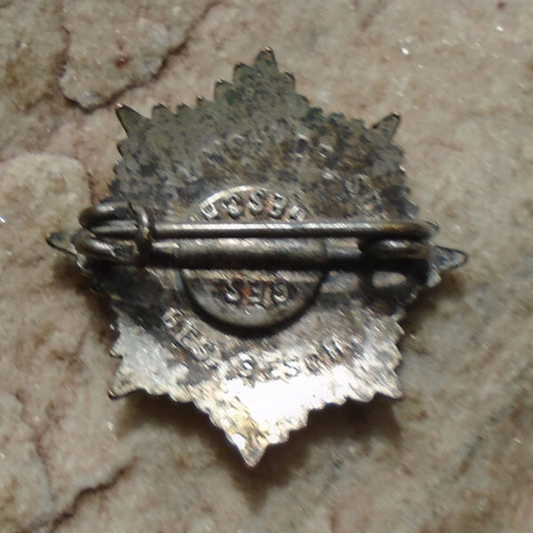 NW5079 – Badge de Membro do Reichsluftschutzbund (RLB), 1° Modelo – “Hermann Aurich” - Imagem 4